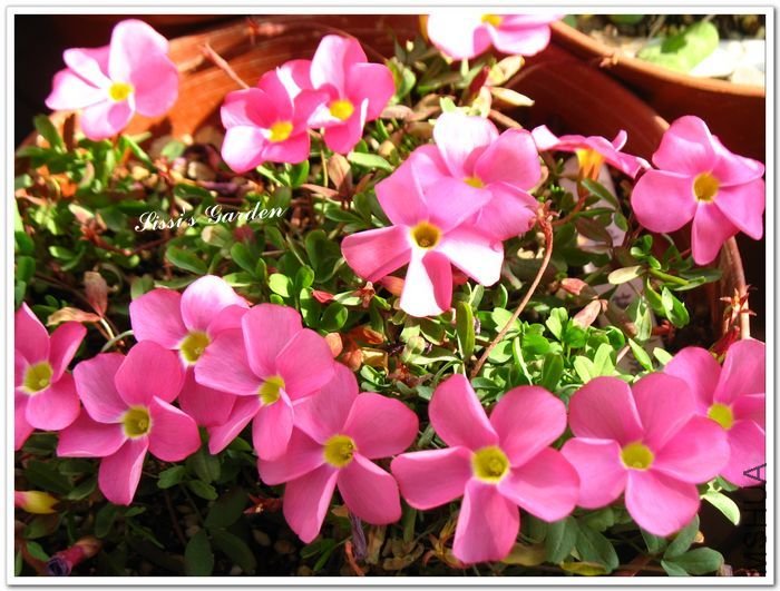 nEO_IMG_110220 177.jpg