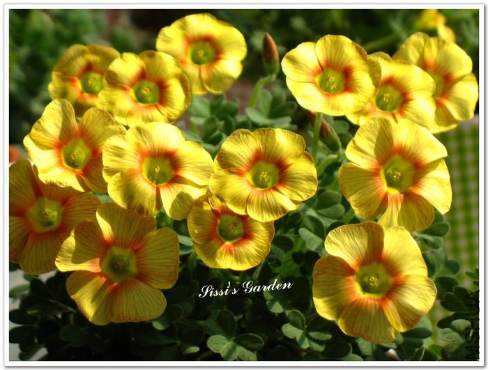 nEO_IMG_110220 173.jpg