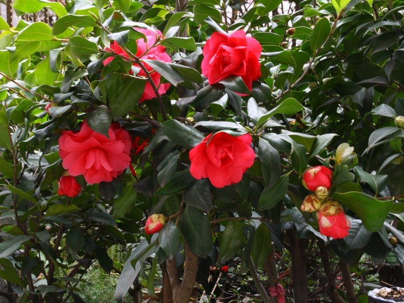 2011.02.23.�軨���� 011+1.jpg