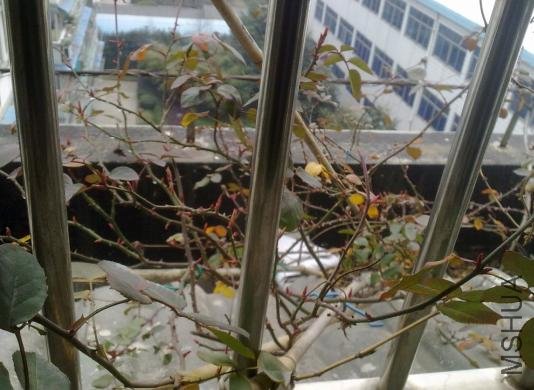 һ������δ������