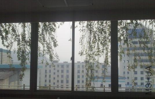 �ӿ�������ȥ