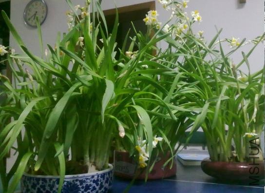 ����6��40