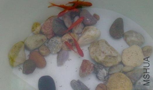 3��û��ˮ��