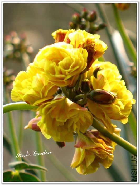 nEO_IMG_110223 017.jpg