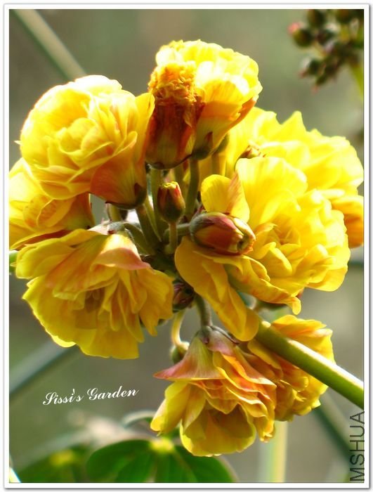 nEO_IMG_110223 018.jpg