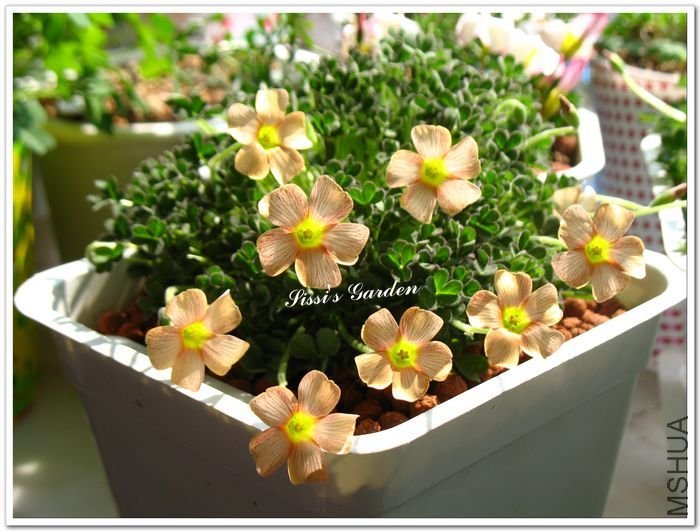 nEO_IMG_110220 158.jpg