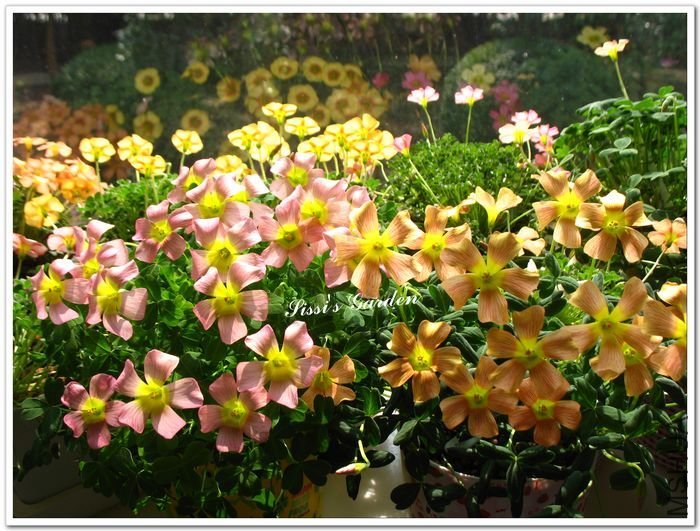 nEO_IMG_110220 171.jpg