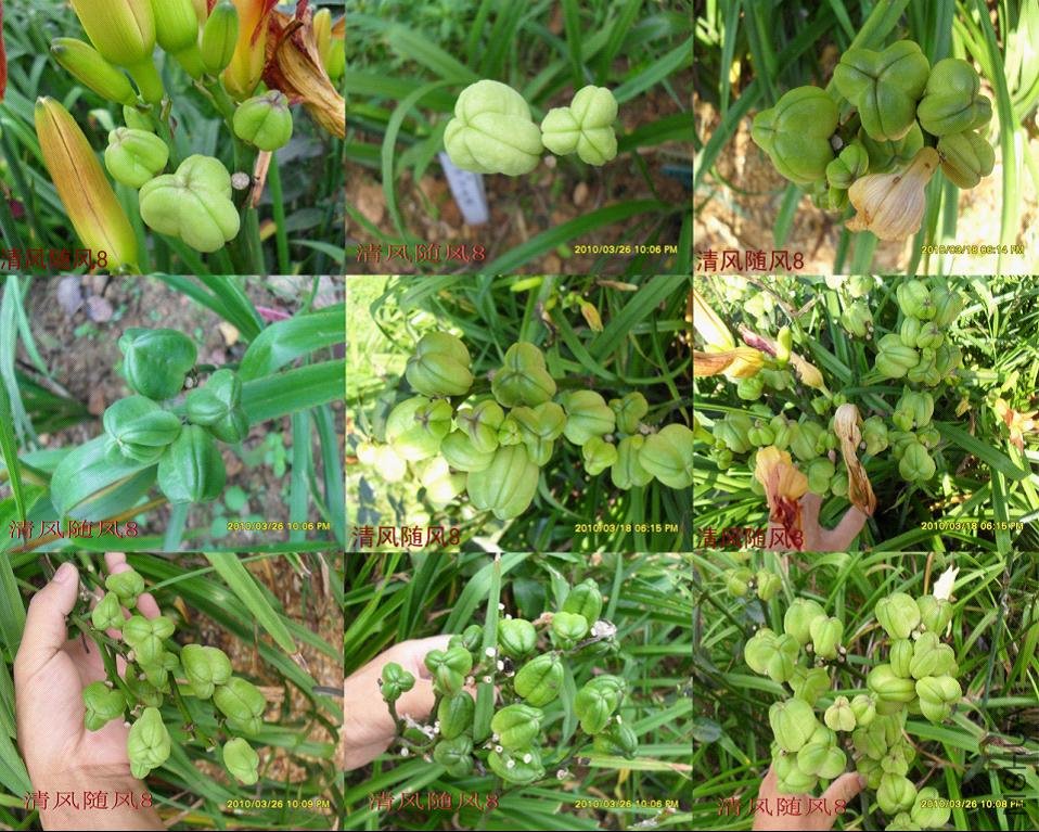 ����ӽ��ڷ��ֹ�