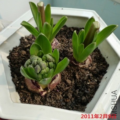 ����˫��?