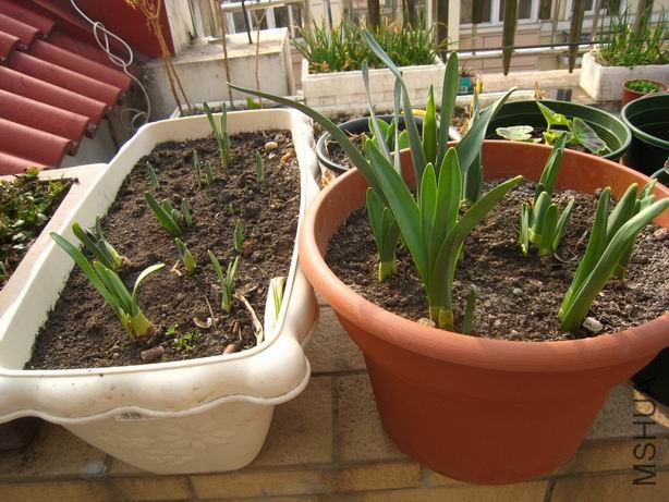 ������С ��Ƭ 1199.jpg