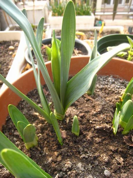 ������С ��ת ��Ƭ 1195.jpg