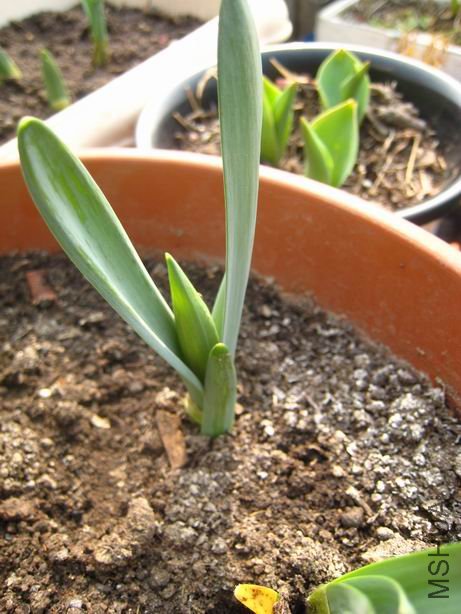 ������С ��ת ��Ƭ 1196.jpg