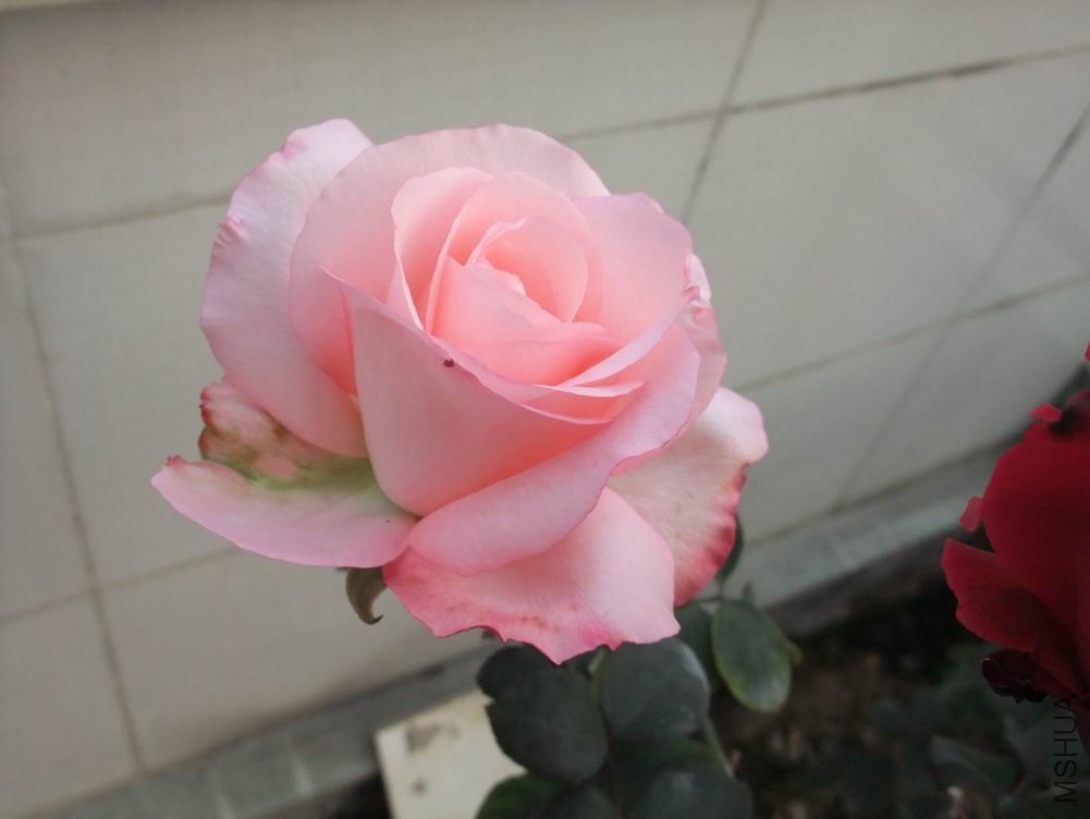 DSCF3103.JPG
