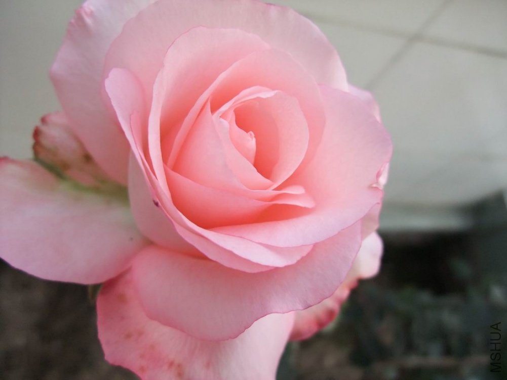DSCF3113.JPG