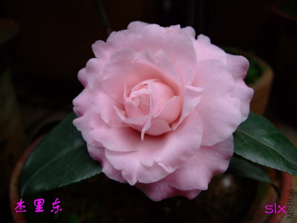 ��������11-2-25f (1).jpg