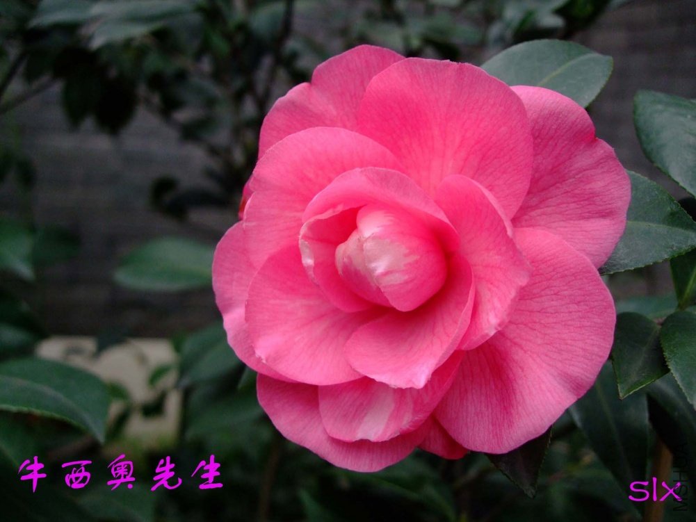 ţ����11-2-25f (1).jpg