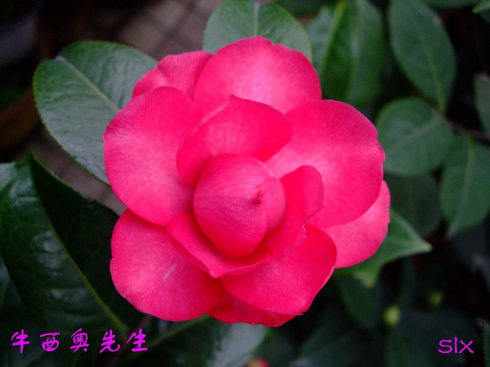 ţ����11-2-25f (2).jpg