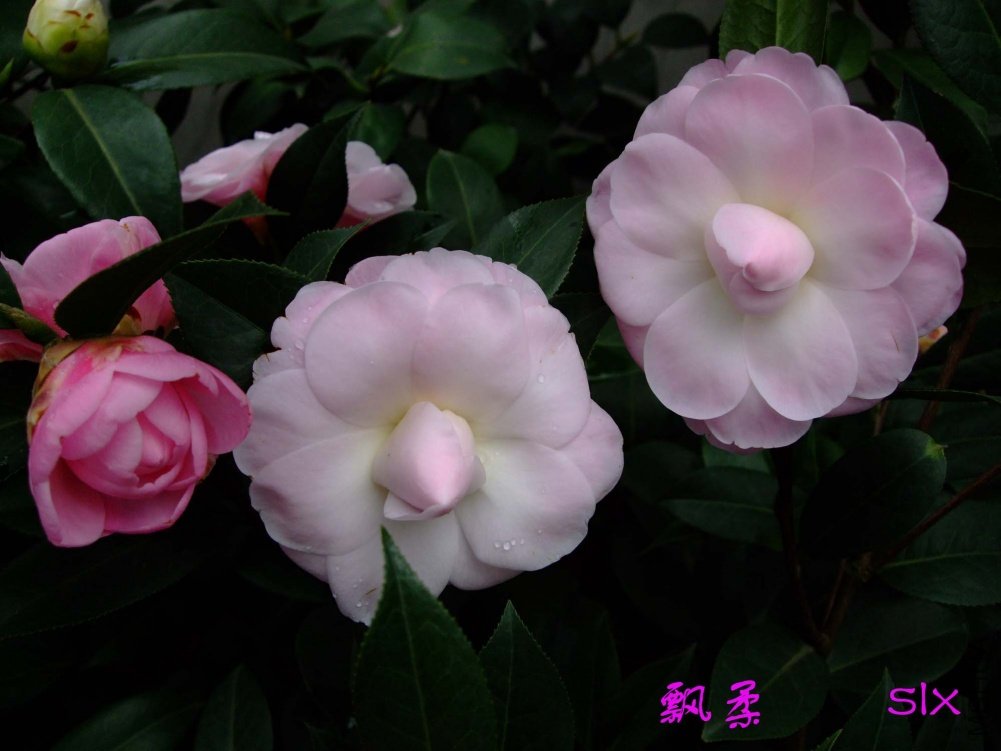 Ʈ��11-2-25f (1).jpg