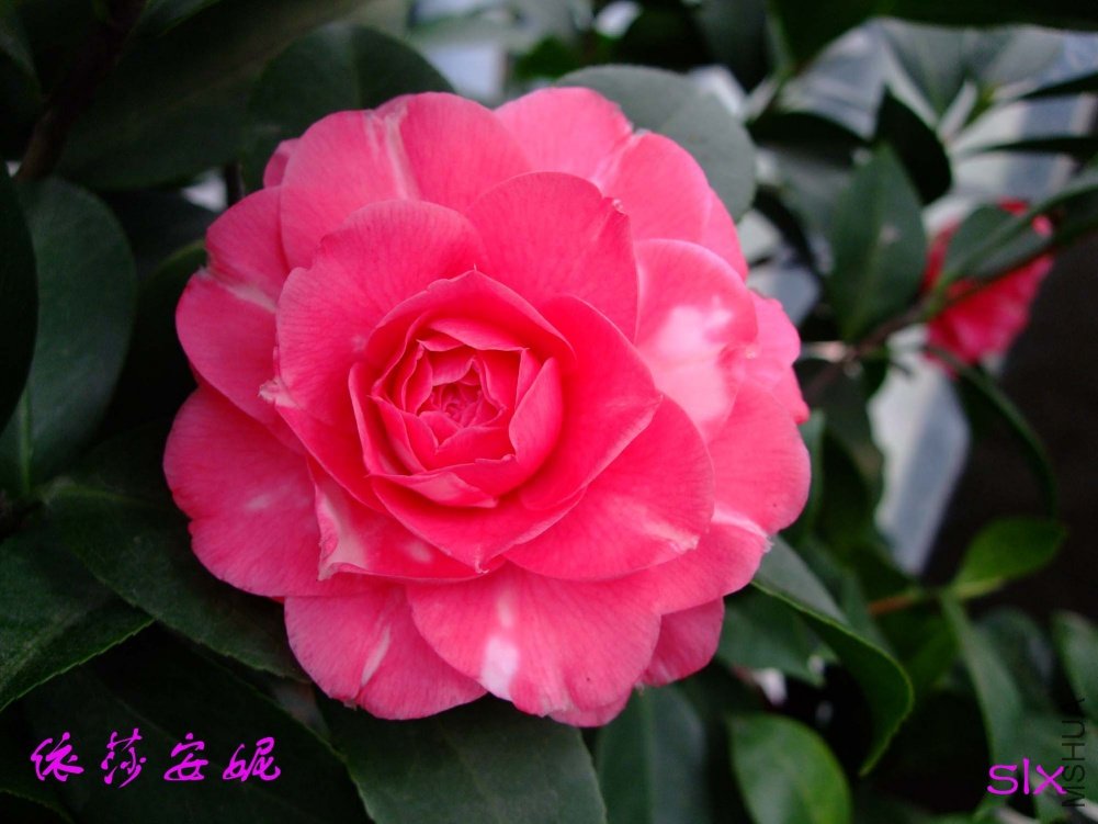 ��ɯ����11-2-25f (1).jpg