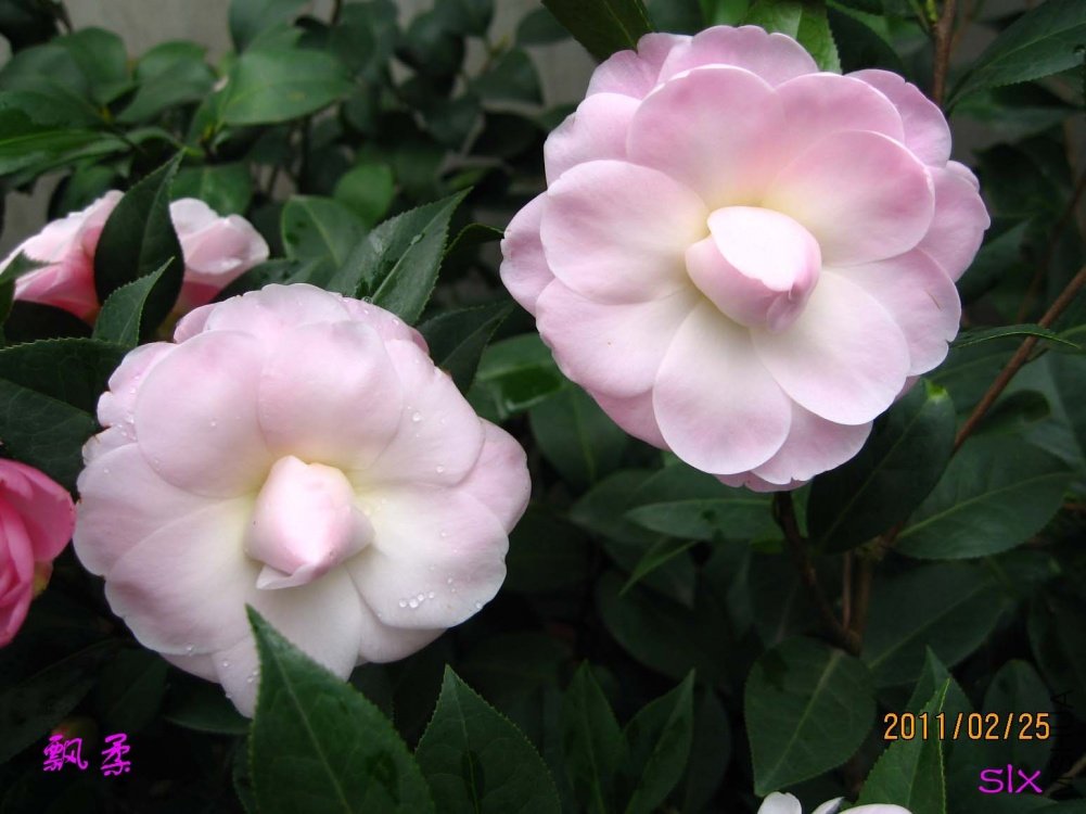 Ʈ��11-2-25 (1).jpg