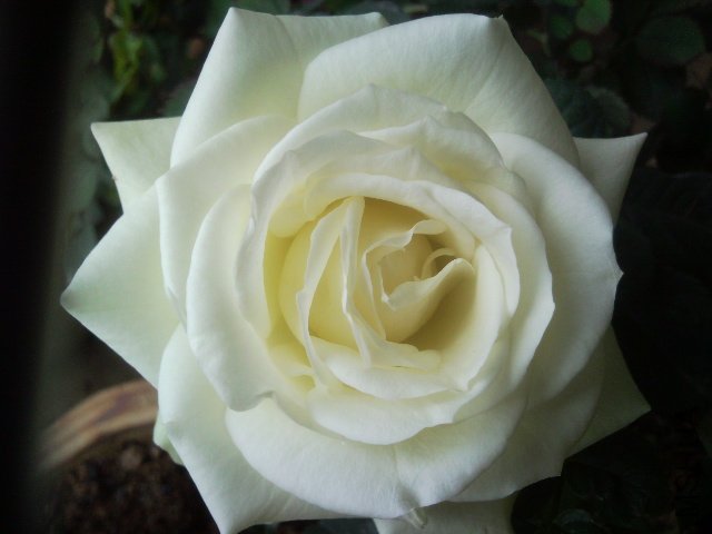 SNC00220.jpg