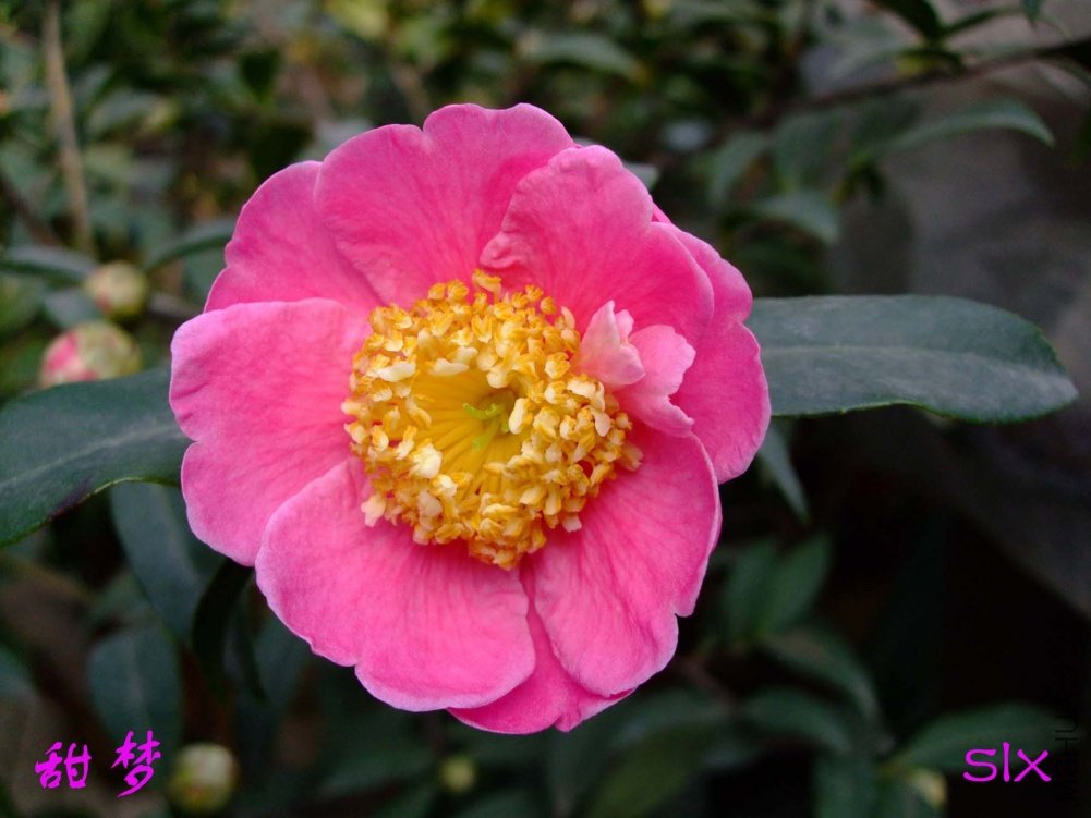 ����11-2-26f (1).jpg