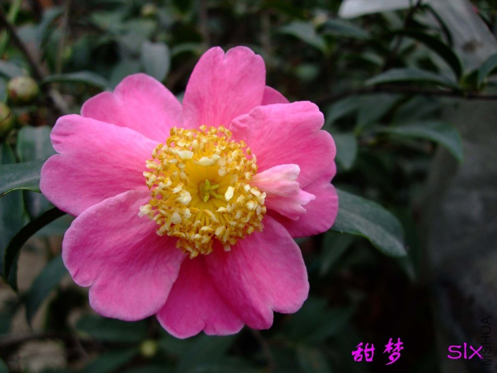 ����11-2-26f (2).jpg