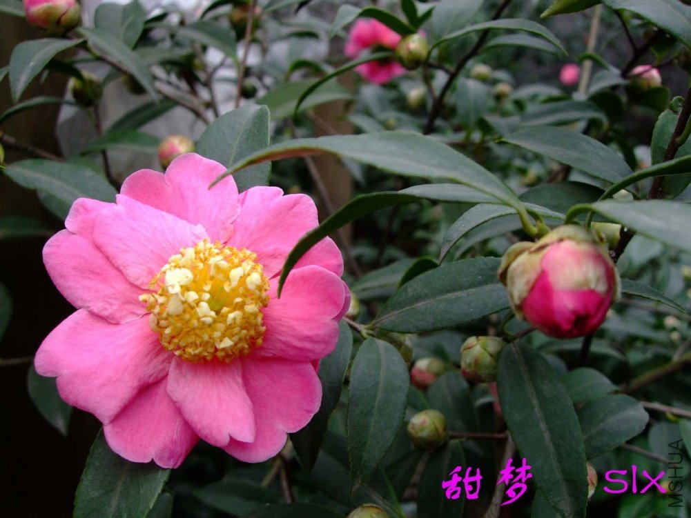 ����11-2-26f (3).jpg