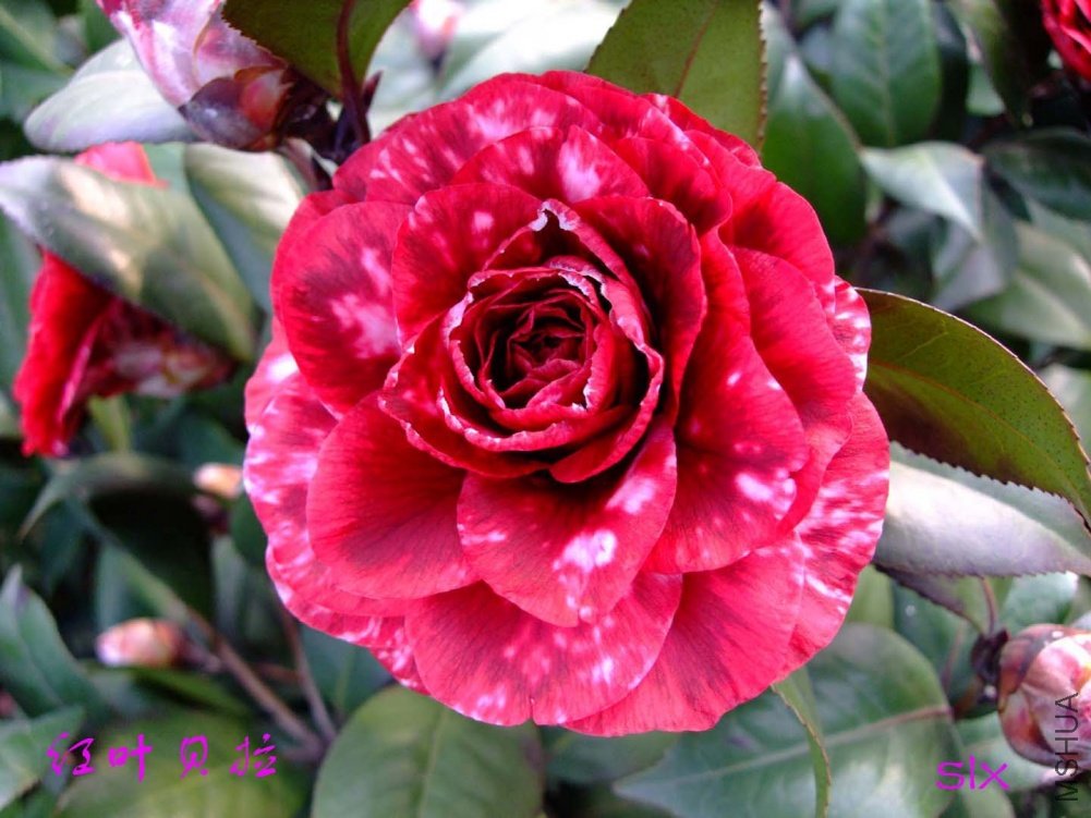 ����11-2-26f (3).jpg