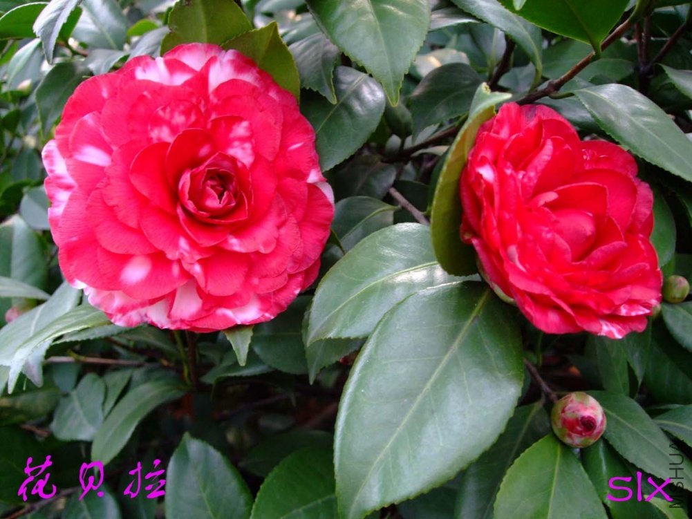 ����11-2-26f (1).jpg