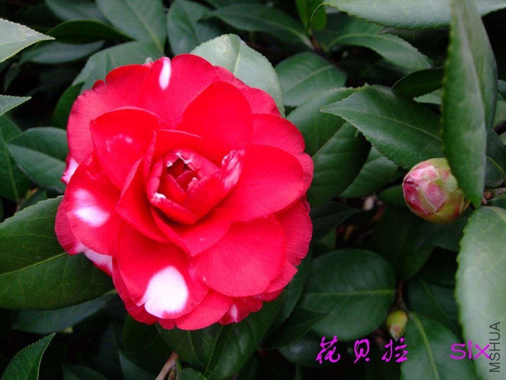 ����11-2-26f (7).jpg