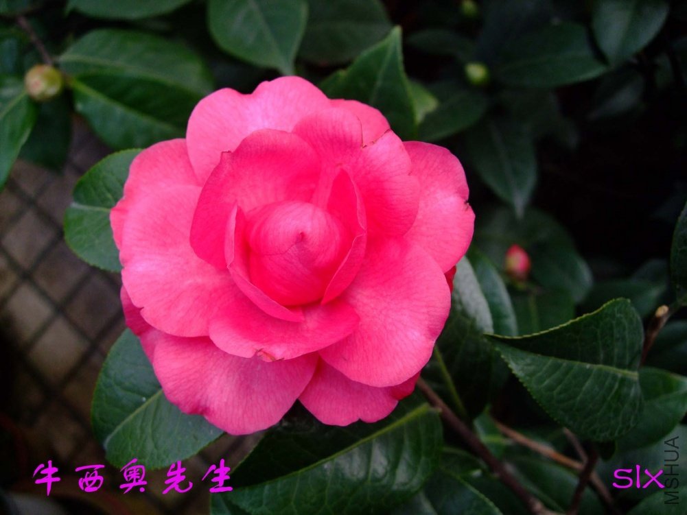 ţ��������11-2-26f (5).jpg