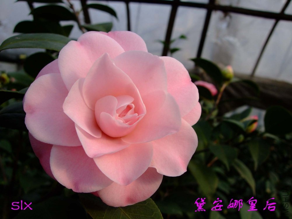 �찲��11-2-26f (2).jpg