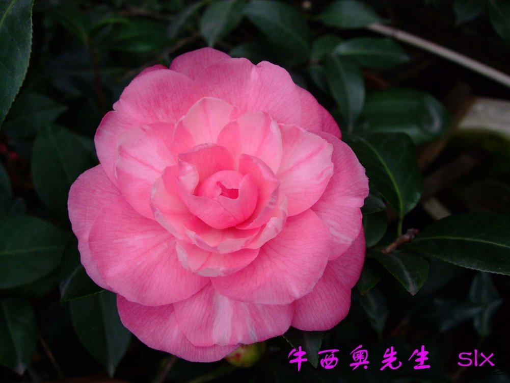 ţ��������11-2-26f (3).jpg