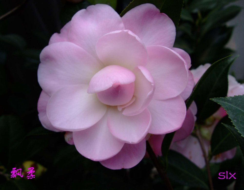 Ʈ��11-2-26f (8).jpg