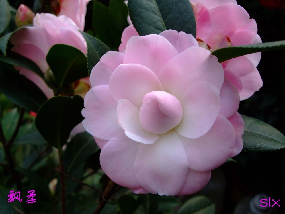 Ʈ��11-2-26f (6).jpg