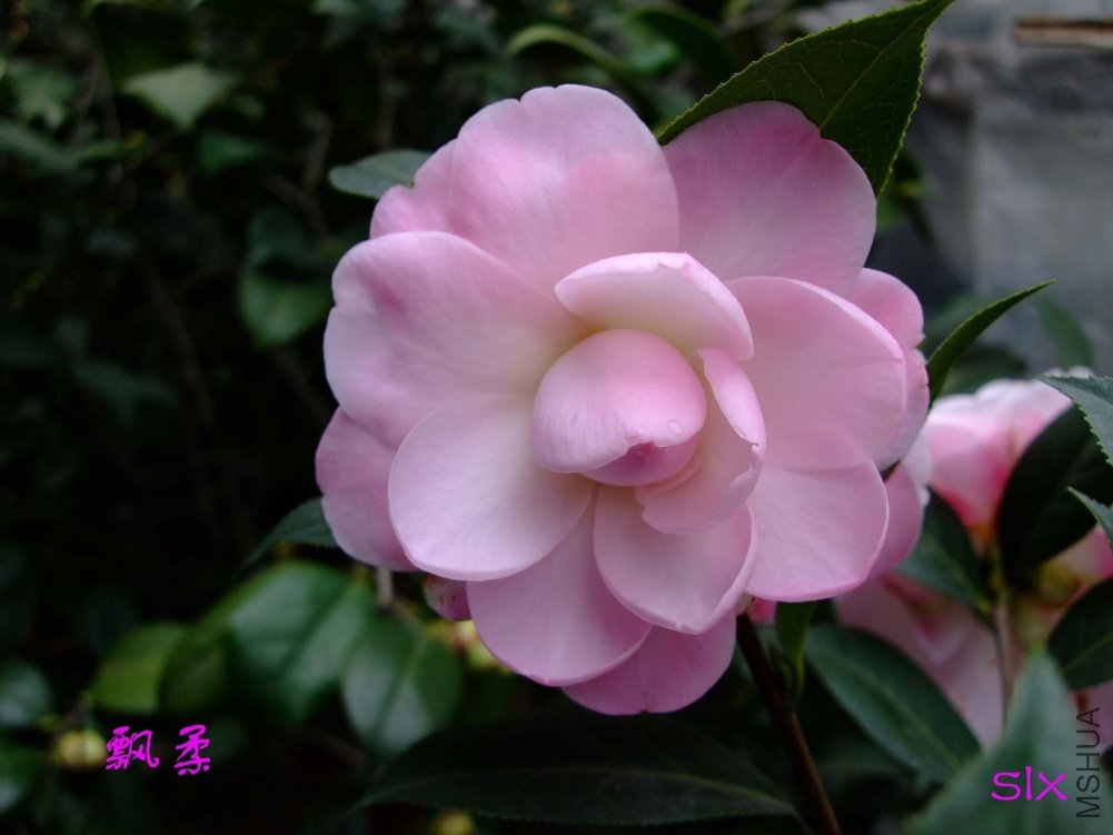 Ʈ��11-2-26f (12).jpg