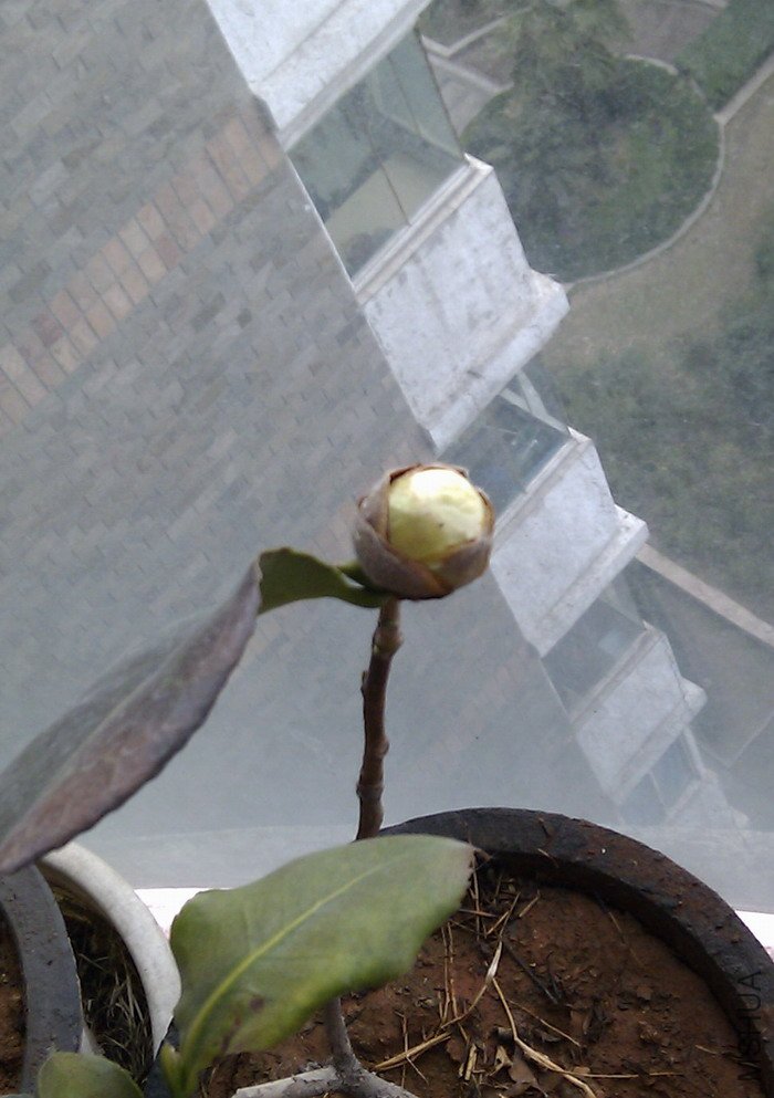 IMAG0044.jpg