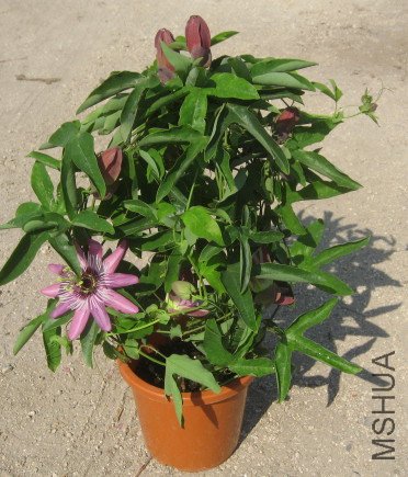 ���� 1,550�� 5����.jpg