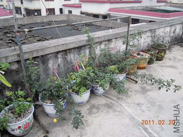 DSCN0288.jpg