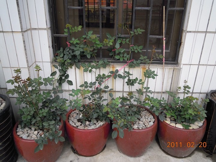 DSCN0284.jpg
