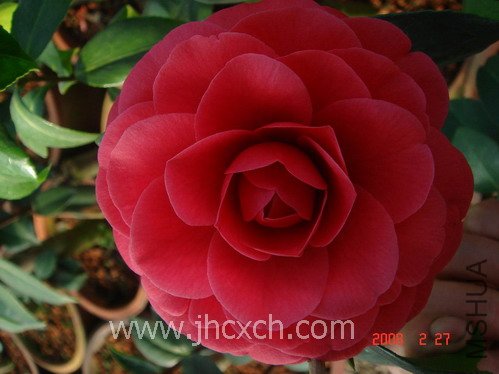 2008417222409[1].jpg