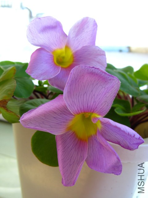 ��Ͱ͵���ܽ��