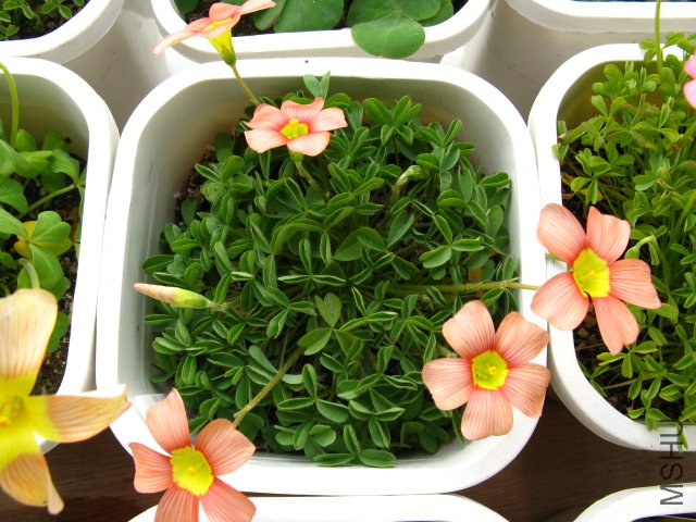 �����кö໨����ϣ�����̫���õ�