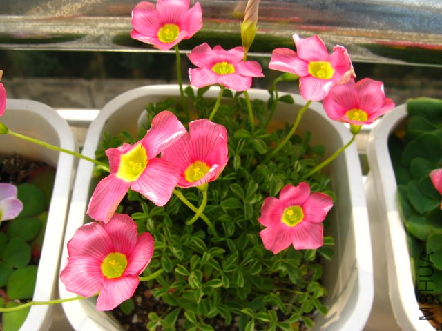 ���˻����̫����һ����