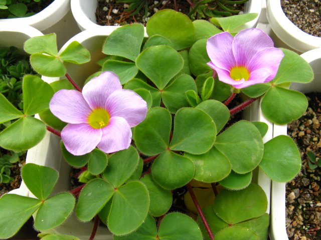 27��ʱ�����ܽ��