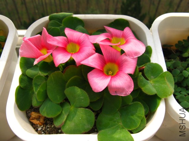 ��ܽ�أ��ܴ��Ӵ~