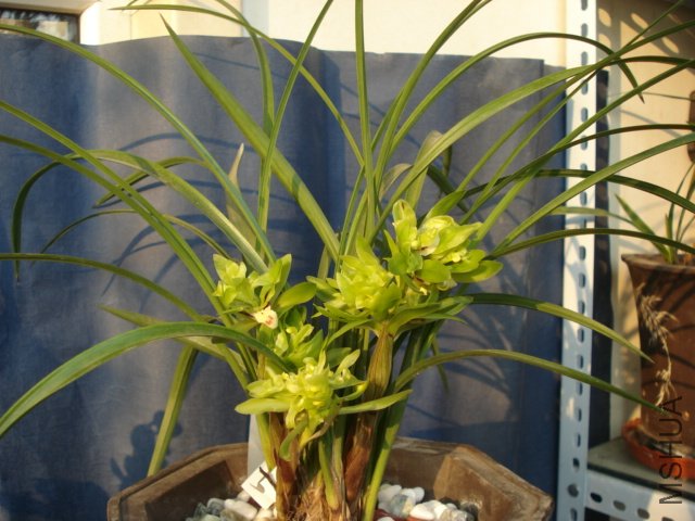 DSC05389.JPG