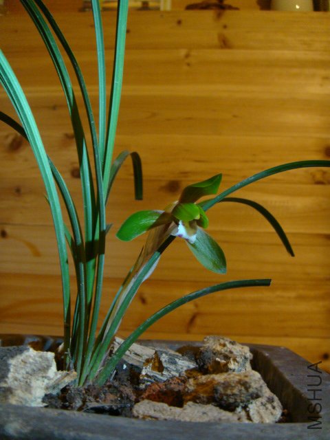 DSC01766.JPG