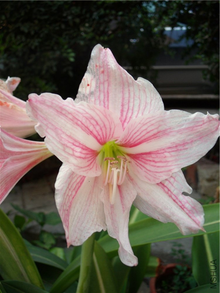 DSCF3358_����.jpg
